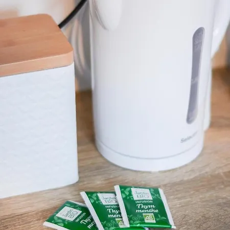 Gare - Stanislas Apartment Nancy