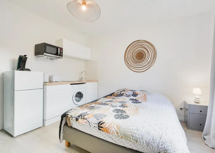 Gare - Stanislas Appartement Nancy